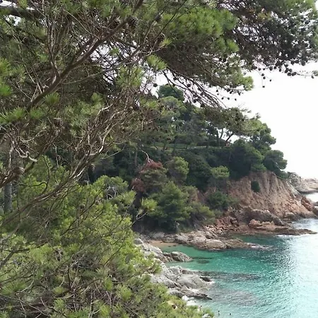 Cala Salions, Chalana Ii *