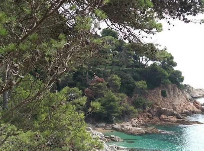 Chalana Ii, Cala Salions, Tossa De Mar *